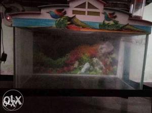  fish tank with only filter and no