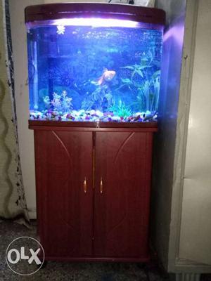 1 month old fish tank 4ftx2ftx1ft worth Rs. in 8k with