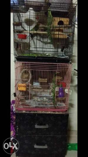 2 medium size cage for 550 each
