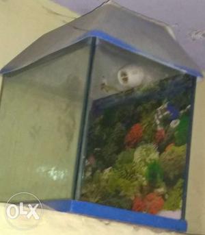 25 ltr capacity fish tank(aquarium) with cover