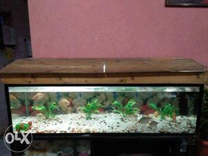 4 Feet Fish Tank with wooden cover and Top Filter