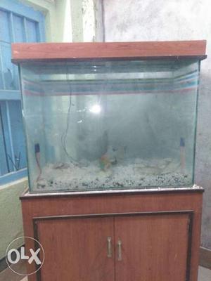 A big size aquarium in good condition.