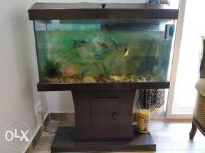 A fish aqurium with wooden stand of 