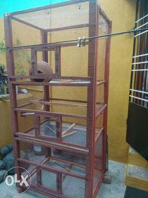 A new cage 6 feet height cage with three level