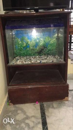 Acqurium with stones and wooden stand