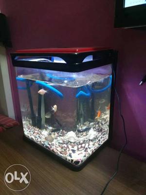 Aquarium - Imported multi color LED with touch control