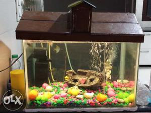 Aquarium Tank In Good Conditipn For Sale With
