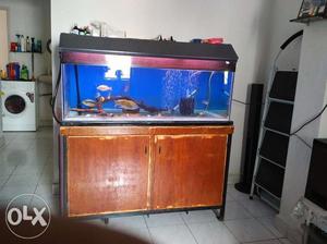 Aquarium fish, tank and accessories, 4x2x1.5 feet