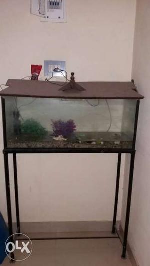 Aquarium set for sale.Including water filter,air