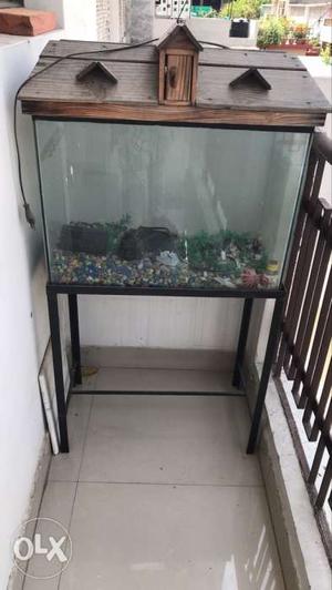 Aquarium with pebbles etc