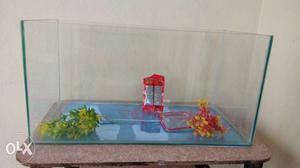 Aquriam tank flower horn fish you want mean 500extra