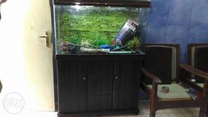Big fish tank with full set tank measure