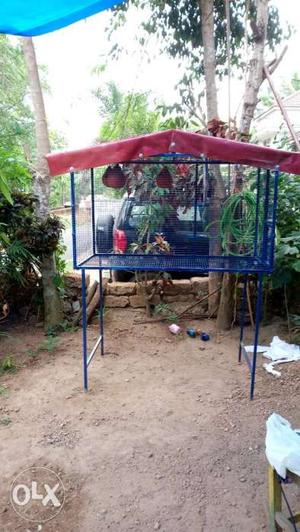 Birds Cage's & Hen Cage's for sale all type cages