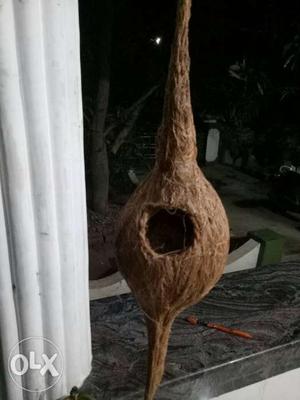 Birds nest made with coir fibre for Sale
