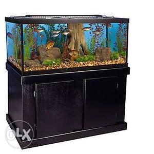 Brand new fish tanks with stones,plants and other