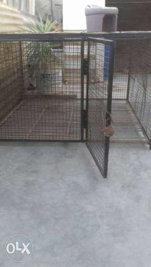 Cage for dogs length 4 ft breadth 4 ft height 3