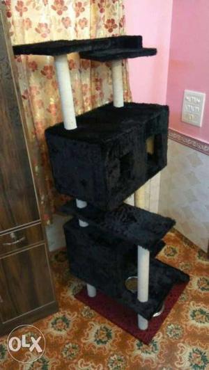 Cat tree house 6ft hight 2.5 ft whight 2.5 ft