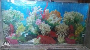 Fish Tank 28 length 15 height and 12 breath