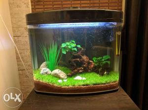 Fish Tank in Very Good Condition 40 Liters