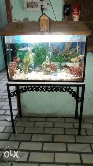 Fish aquarium good conditions size 30width