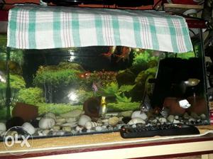 Fish tank an only fish, only 1 month use