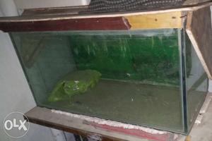 Fish tank good condition