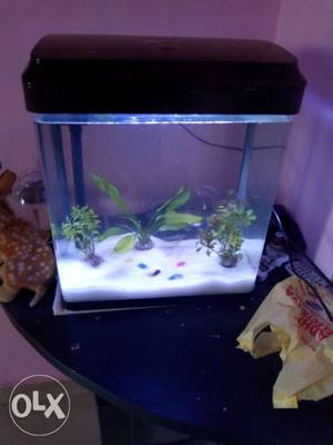 Fish tank new good condition with tetra fishes