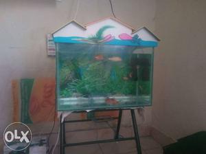 Fish tank with sobo water filter, LED submersible