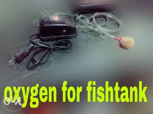Fishtank oxygen for good condition my fish death