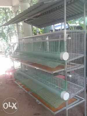 Hi-tech hen cage for sale in tvm