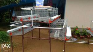 High-tech chicken cage for and6 no's layer,Rs
