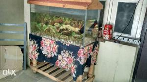 I want to sell the fish tank it's good condition
