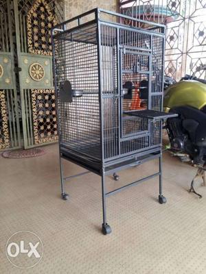Imported tame bird cage