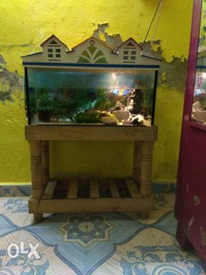 Low-price  fish tank sale all crey fish