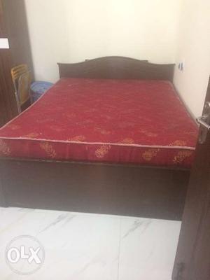 Queen size cot - 4 yrs old