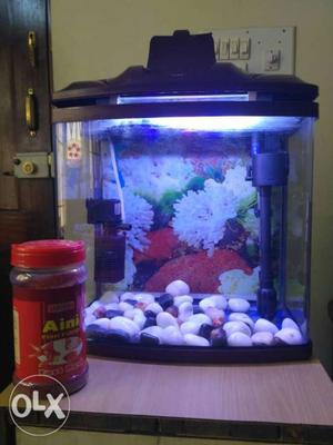 Rectangular Clear Acrylic Fish Tank