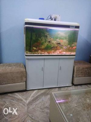 Sobo company fish aquarium inch with