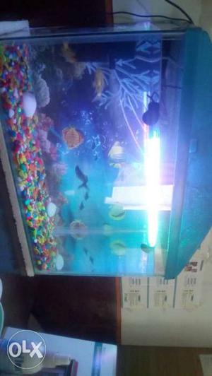 We r manufacturer of new aquarium..50litrs