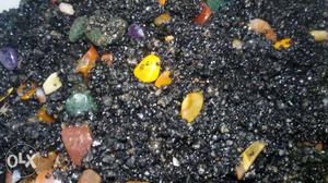 1.5kg aquarium stones black granil and small mix