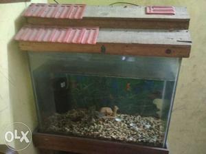2ft H X 1.5ft L X 1ft B good condition fish Tank with cab