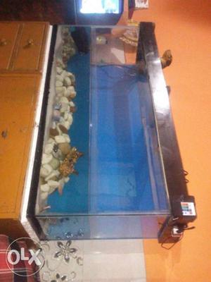4ft fish tank Contact  one