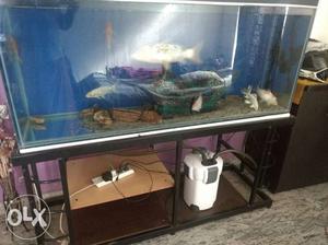 5ft 12mm tank with few fishes and accessories..