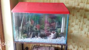 A fish aquarium 4×3 with metal stand
