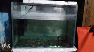 Aquarium 1 month
