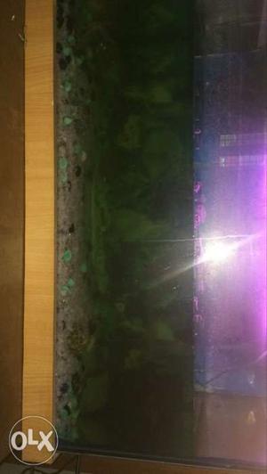 Aquarium with filter, pump and all ptger and fish food