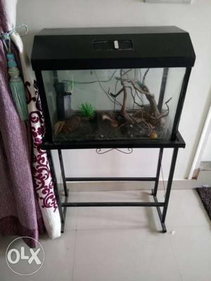 Aquarium with stand, light, wood and filter