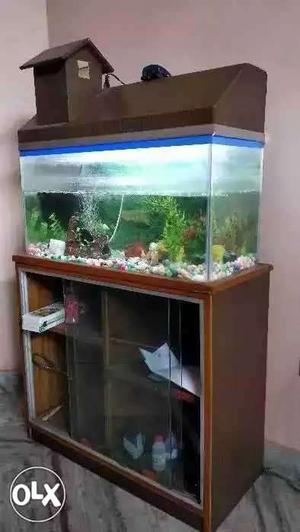 Big tank with free wooden table High quality with