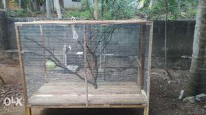 Birds Cage 6ft x 3ft x 4ft