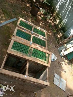 Brown Wooden Cage With Green Chicken Wire Frame