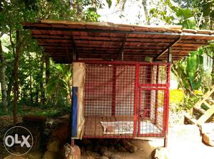 Dog Cage for Sale. Made of GI Pipe and Nets. (Without tiles)